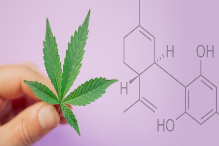 Full Spectrum vs Broad Spectrum CBD