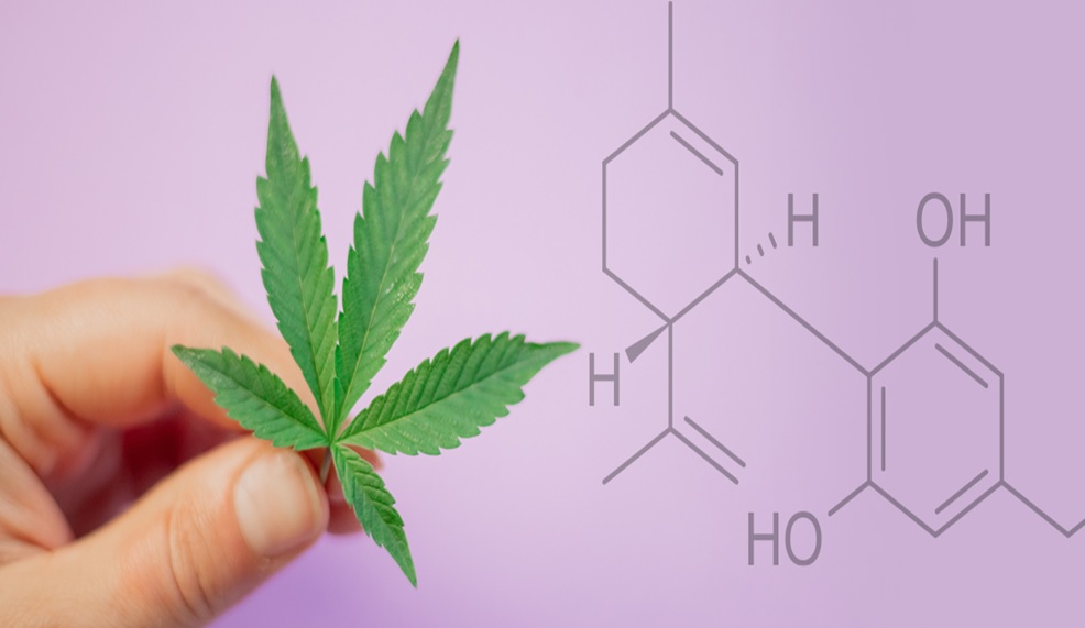 Full Spectrum vs Broad Spectrum CBD